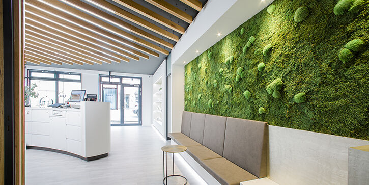 Mooswände wie hier in den Arztpraxis sorgen für mehr Wohlbefinden und bessere Akustik Mooswand im Eingangsbereich einer Arztpraxis als besonderes Designelement und zur Verbesserung der Akustik