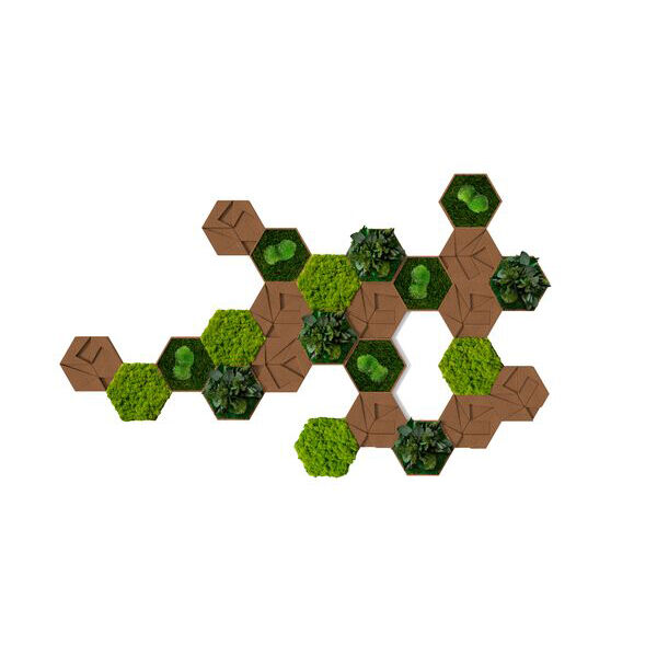 Kork-Hexagon 25er Set