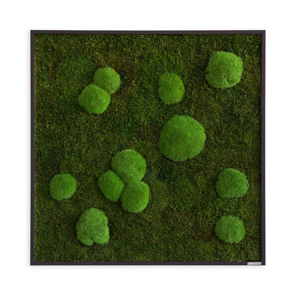 Moosbild: Wald- und Kugelmoosbild 80x80cm Vollholz (schwarz) Moosbild: Wald- und Kugelmoosbild 80x80cm Vollholz (schwarz)