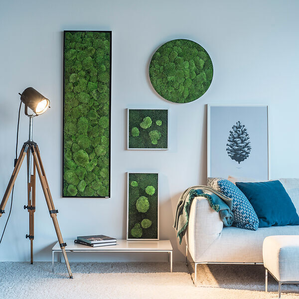 Moosbild: Kugelmoosbild 140x40cm Vollholz (schwarz)