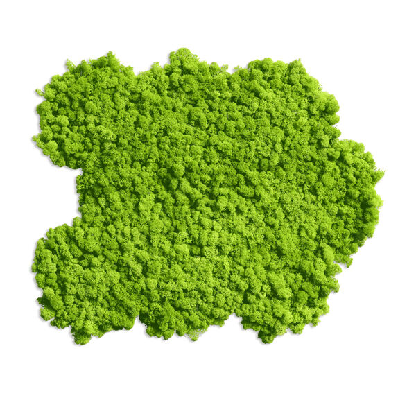 flexGREEN 2.0 Islandmoos MG (2 Matten) flexGREEN 2.0 Islandmoos MG (2 Matten)