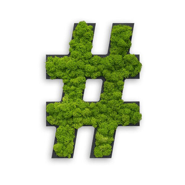 Piktogramm: Sonderzeichen "hashtag" Islandmoos