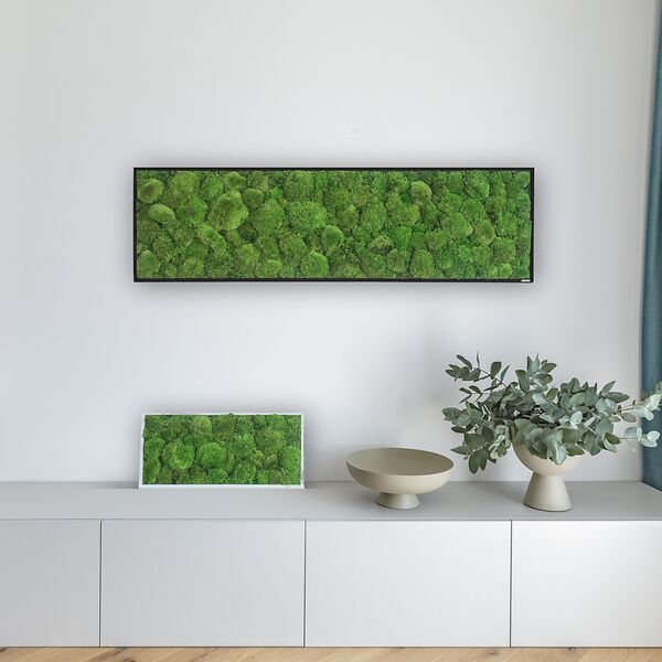 Moosbild: Kugelmoosbild 140x40cm Vollholz (schwarz)