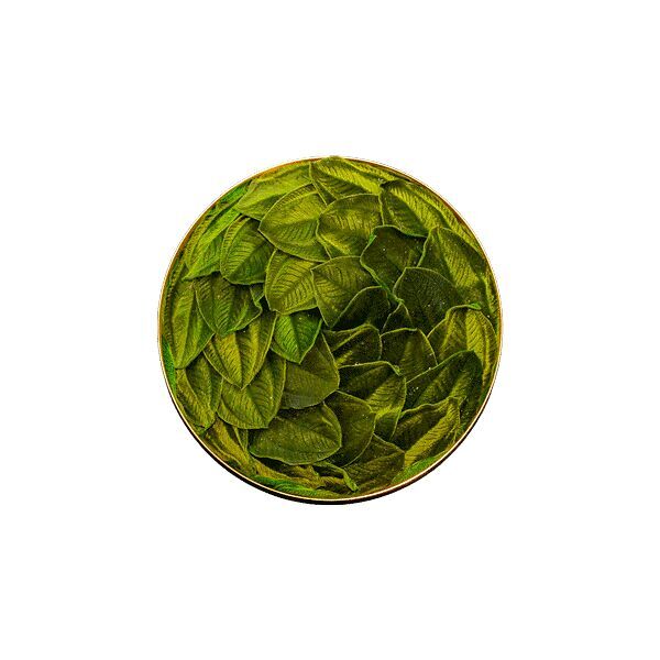 Pflanzenbild: Velvet Leafs Kreis 22cm - Ellipsoid