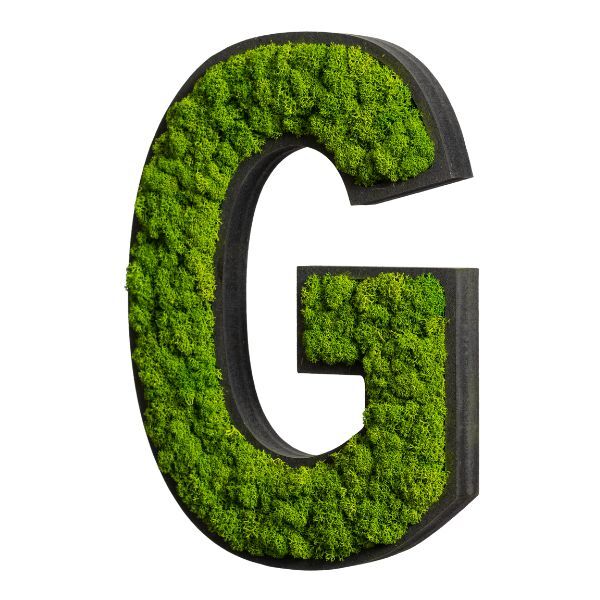 Piktogramm: Buchstabe G Islandmoos Maigrün Klebepunkte