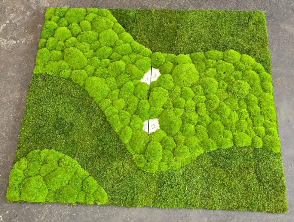 Individual Fläche Wald- und Kugelmoos Welle