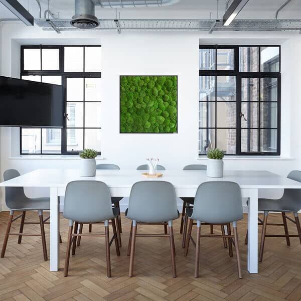 styleGREEN Kugelmoosbild in 80x80 im Büro styleGREEN Kugelmoosbild im Büro