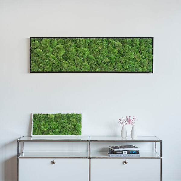 Moosbild: Kugelmoosbild 140x40cm Vollholz (schwarz)
