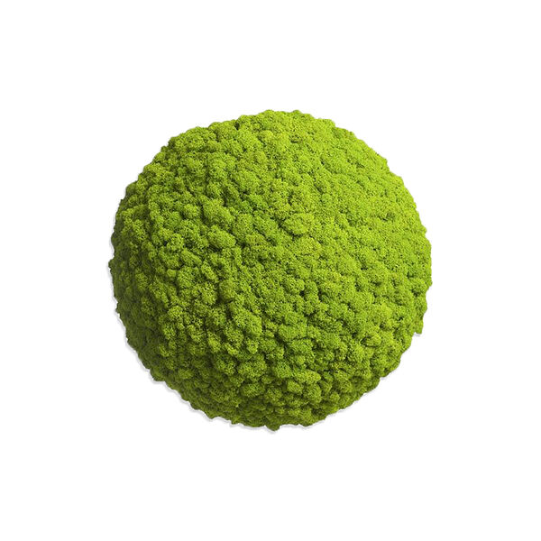 Islandmoos Kugel ø 37 cm Maigrün Islandmoos Kugel ø 37 cm Maigrün