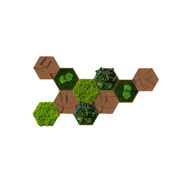 Kork-Hexagon 10er Set