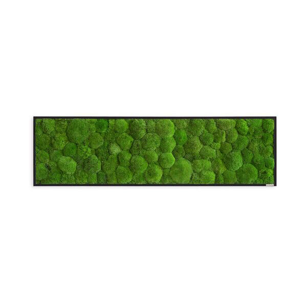 Moosbild: Kugelmoosbild 140x40cm Vollholz (schwarz)