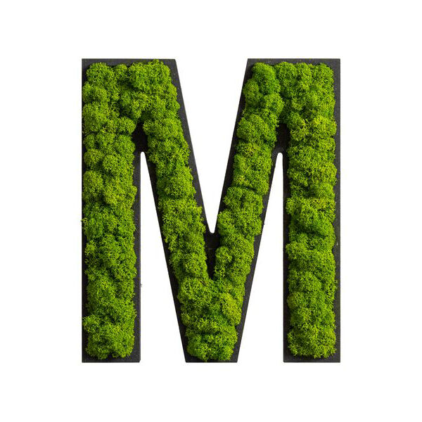 Piktogramm: Buchstabe M Islandmoos Maigrün Klebepunkte