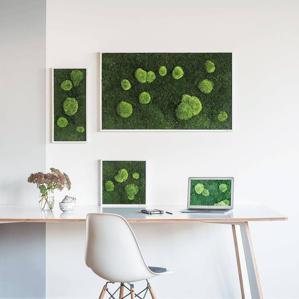 styleGREEN Moosbilder fürs Büro oder Homeoffice
