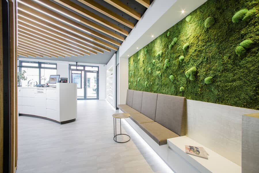 styleGREEN Maßanfertigung Wald- und Kugelmoosbild für Arztpraxis über die ganze Wand styleGREEN Maßanfertigung Wald- und Kugelmoosbild für Arztpraxis