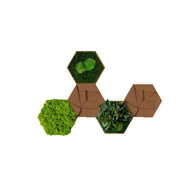 Kork-Hexagon 5er Set