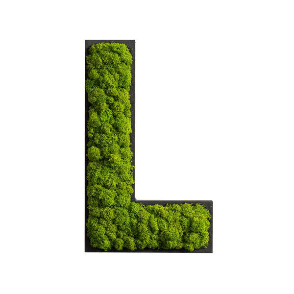 Piktogramm: Buchstabe L Islandmoos Maigrün Klebepunkte