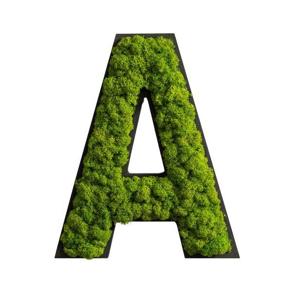 Piktogramm: Buchstabe A Islandmoos Piktogramm: Buchstabe A Islandmoos