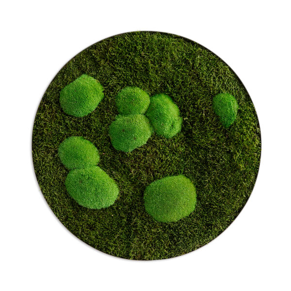 Moosbild: Wald- und Kugelmoos Kreis 54cm Moosbild: Wald- und Kugelmoos Kreis 54cm