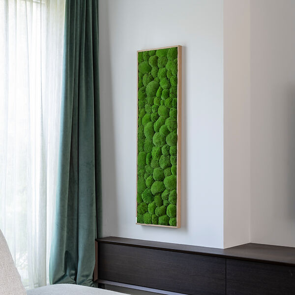 Moosbild: Kugelmoos 140x40 Vollholz (Eichenfurnier)