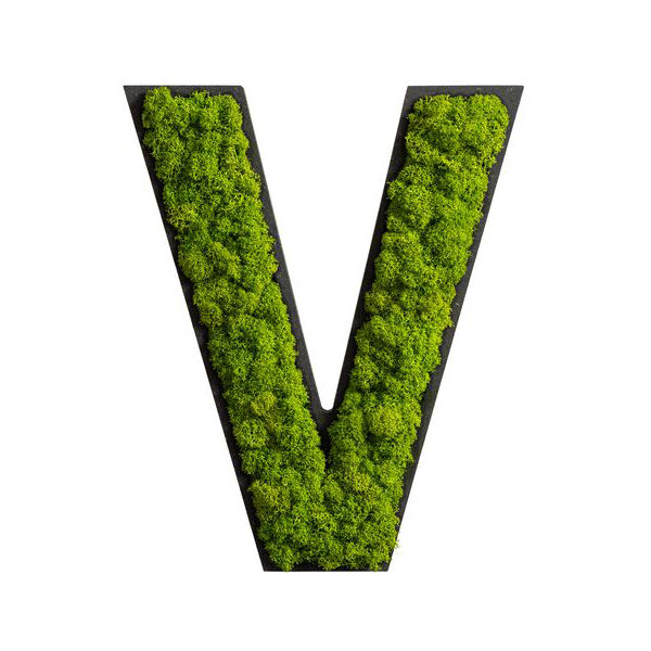 Piktogramm: Buchstabe V Islandmoos Maigrün Klebepunkte