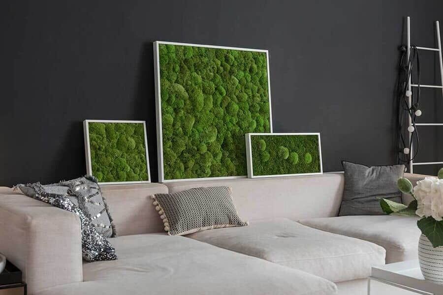 Moosbilder im Wohnzimmer über Sofa mit dunkler Wand als Hintergrund