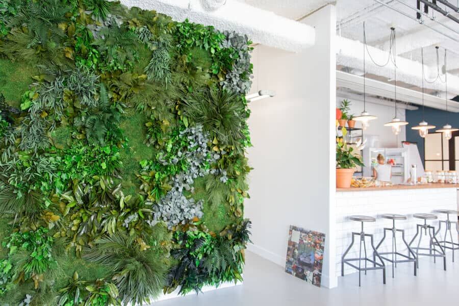 Grüne Pflanzenwand als Dekoration in einem Café styleGREEN Pflanzenwand im Dschungeldesign in einem café