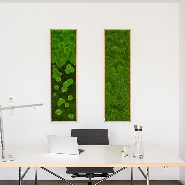 Moosbild: Kugelmoos 140x40 Vollholz (Eichenfurnier)