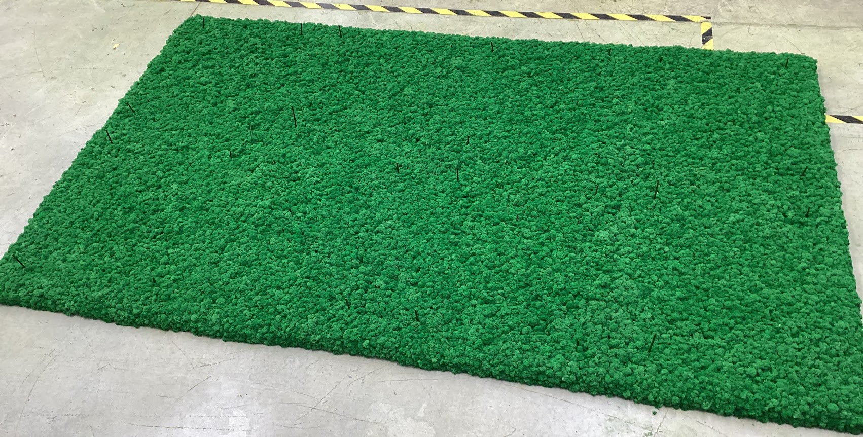 Individual Islandmoos Fläche Apfelgrün mit Kantenbegrünung
