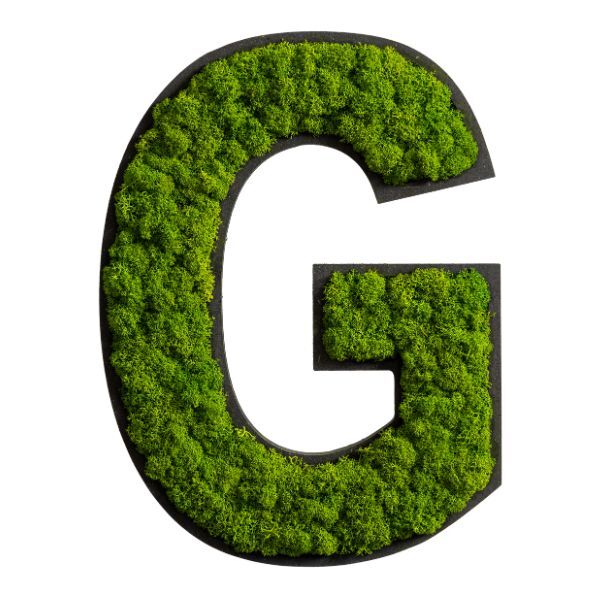Piktogramm: Buchstabe G Islandmoos Maigrün Klebepunkte