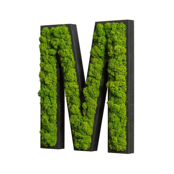 Piktogramm: Buchstabe M Islandmoos Maigrün Klebepunkte
