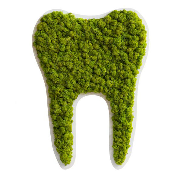 Piktogramm: Zahn groß Islandmoos Maigrün (50cm) Piktogramm: Zahn groß Islandmoos Maigrün (50cm)