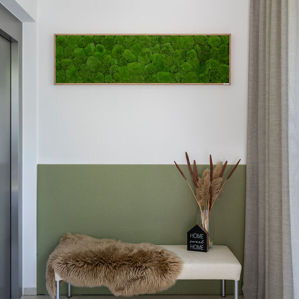 Moosbild: Kugelmoos 140x40 Vollholz (Eichenfurnier)
