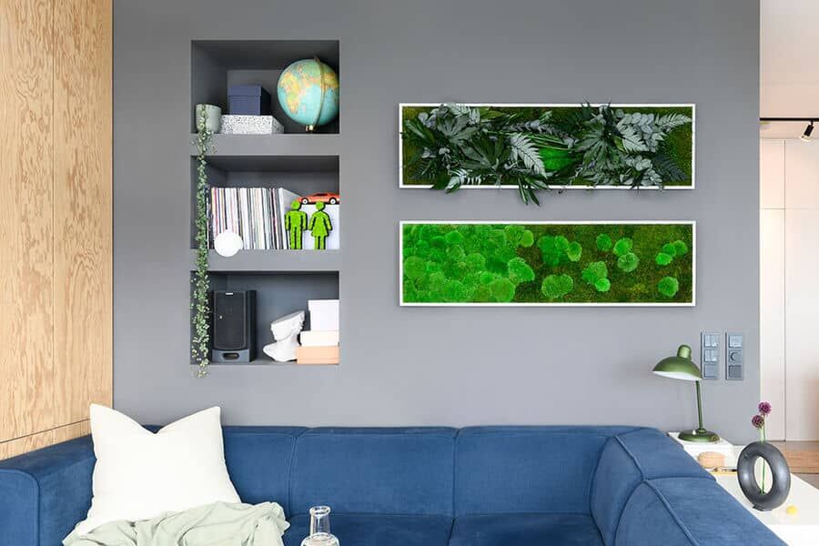 Moosbild und Pflanzenbild im Wohnzimmer über blauem Sofa