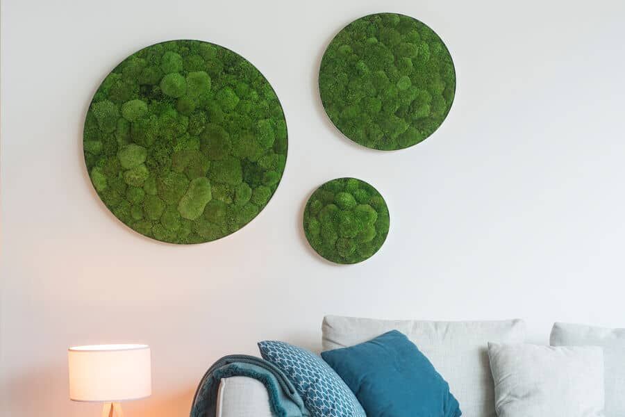 styleGREEN Kugelmooskreise in 3 verschiedenen Größen styleGREEN Kugelmooskreise in 3 Größen als Deko im Wohnzimmer