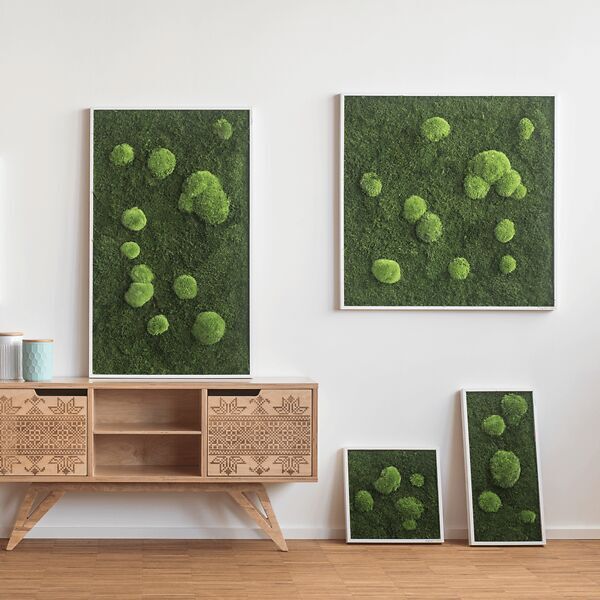 Moosbild: Wald- und Kugelmoos 100x60 cm Weiß