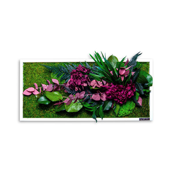 styleGREEN Pflanzenbild mit roten Pflanzen
